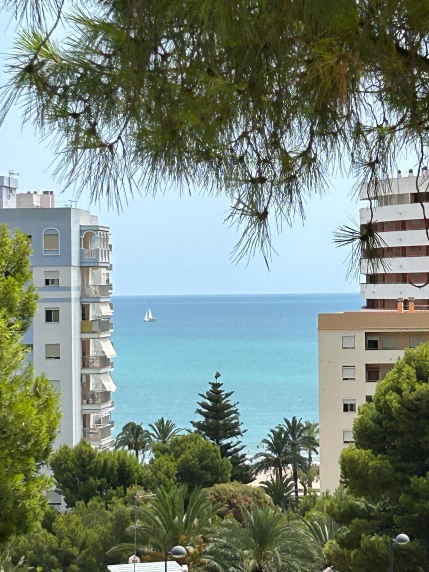 Beauty Garden * Cullera